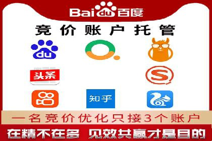 SEM代运营托管公司成功案例：提升转化率的关键策略